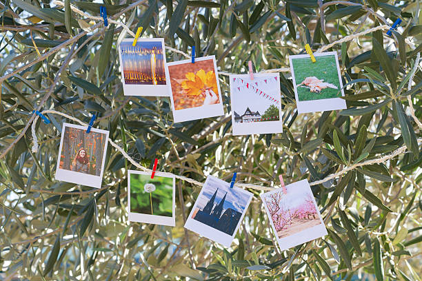 istock Set of photos hanging on clothesline. 527693831