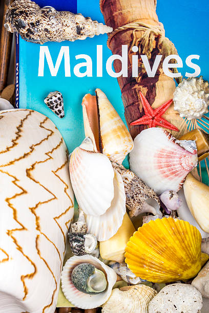 istock holiday in maldives 527695913