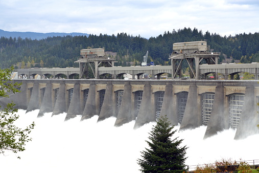 The Bonneville Dam on the Columbia River between Washington  State and Oregon State.