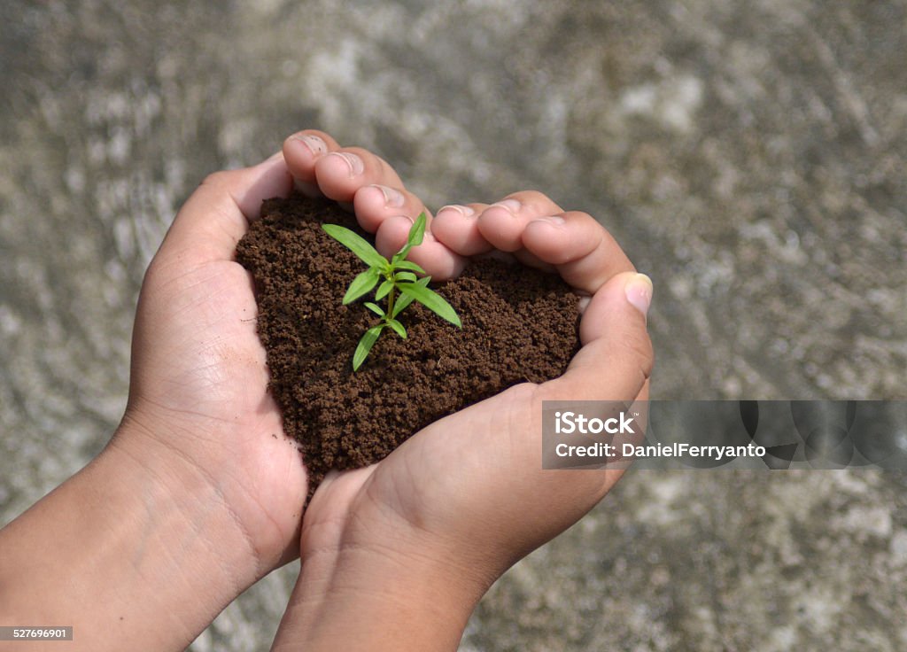 Sprout growing in love Heart Shape Stock Photo