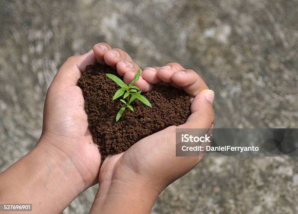 Sprout Growing In Love Stock Photo - Download Image Now - Heart Shape, Dirt, Leaf