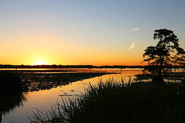 istock Sunset on Reelfoot Lake 527697179