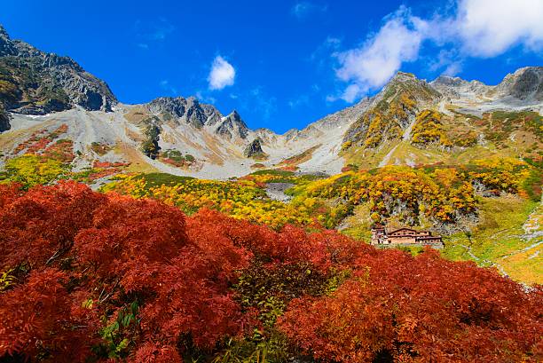 가을 낙엽 - kamikochi national park 뉴스 사진 이미지
