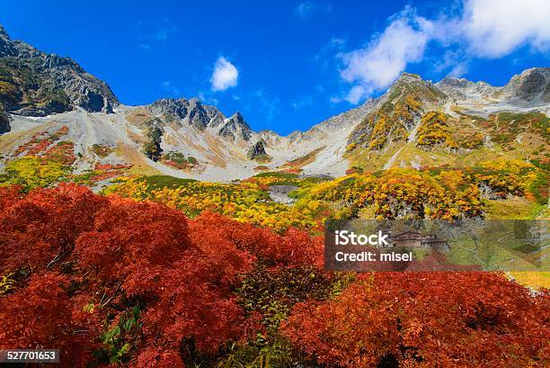 Autumn Leaves Stock Photo - Download Image Now - Autumn Leaf Color, Japanese Maple, Nagano Prefecture