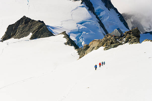 istock New Zealand 527702385