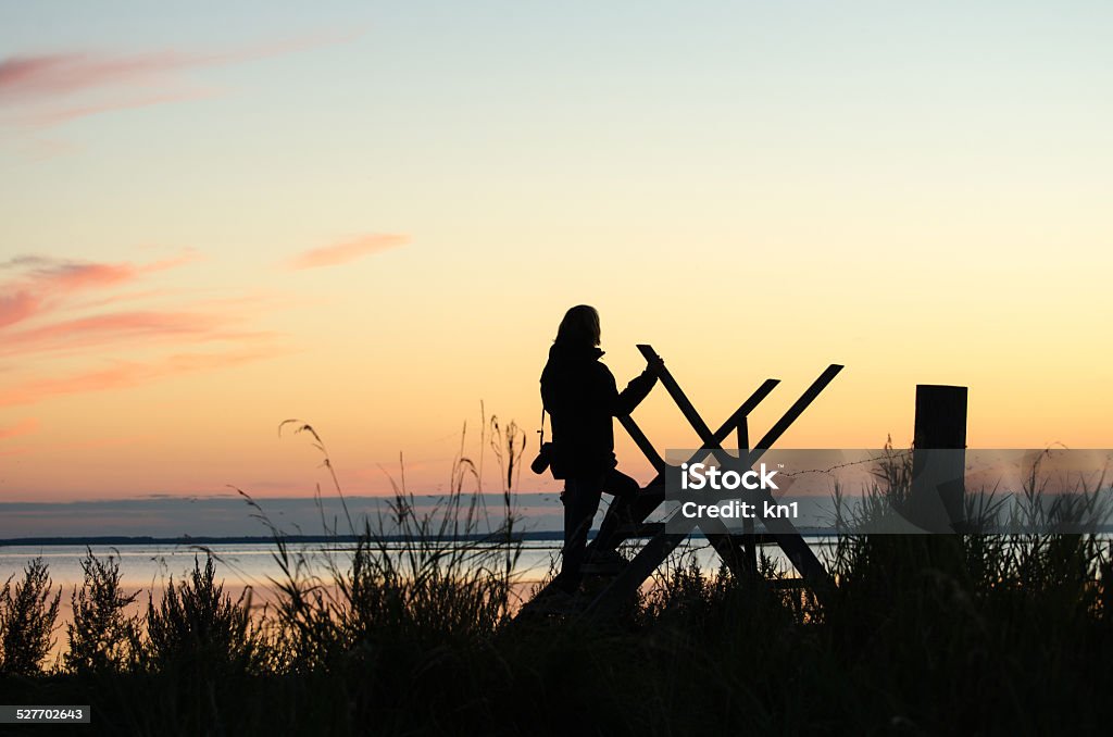 Silhouette of a woman on a stile at twilight time Silhouette of a woman walking over a stile by the coast at twilight time Ladder Stock Photo