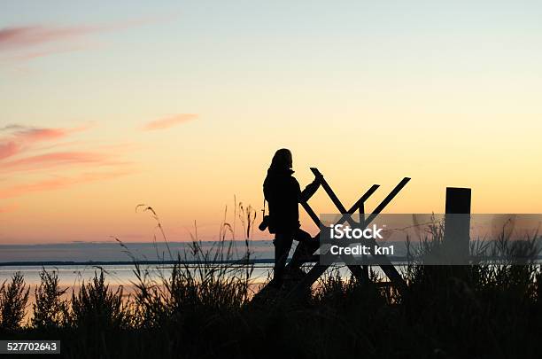 Silhouette Of A Woman On A Stile At Twilight Time Stock Photo - Download Image Now - Ladder, Photographer, Adult