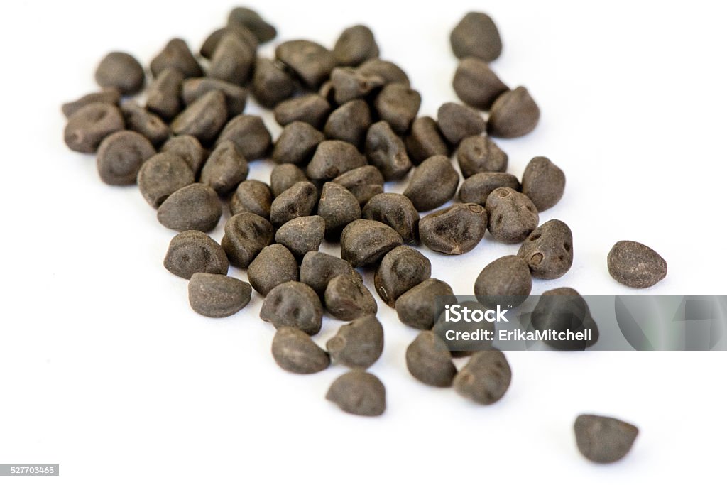 Pile of morning glory seeds These morning glory seeds are ready to plant. Morning Glory Stock Photo