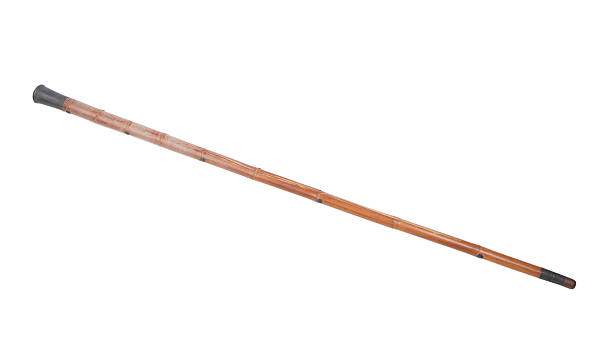 istock bamboo stick for old person 527703519