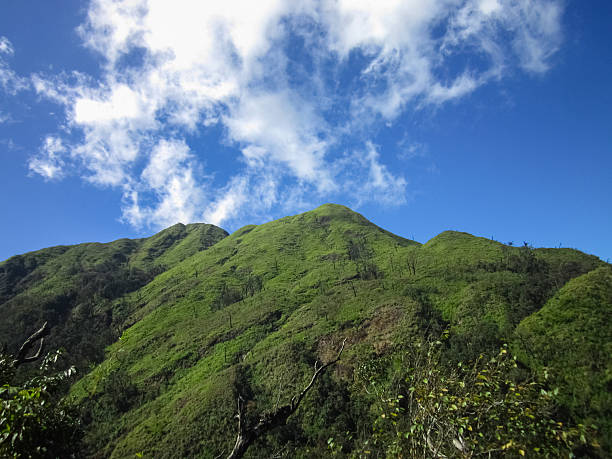 istock Rolling green hills and a blue sky 527704719
