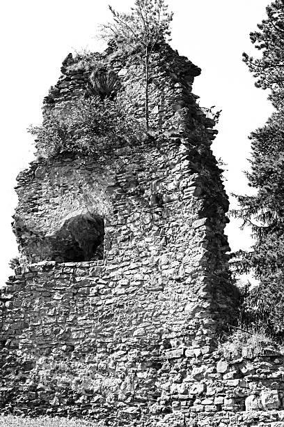 istock Likavsky hrad - ruined castle in Slovakia 527705207