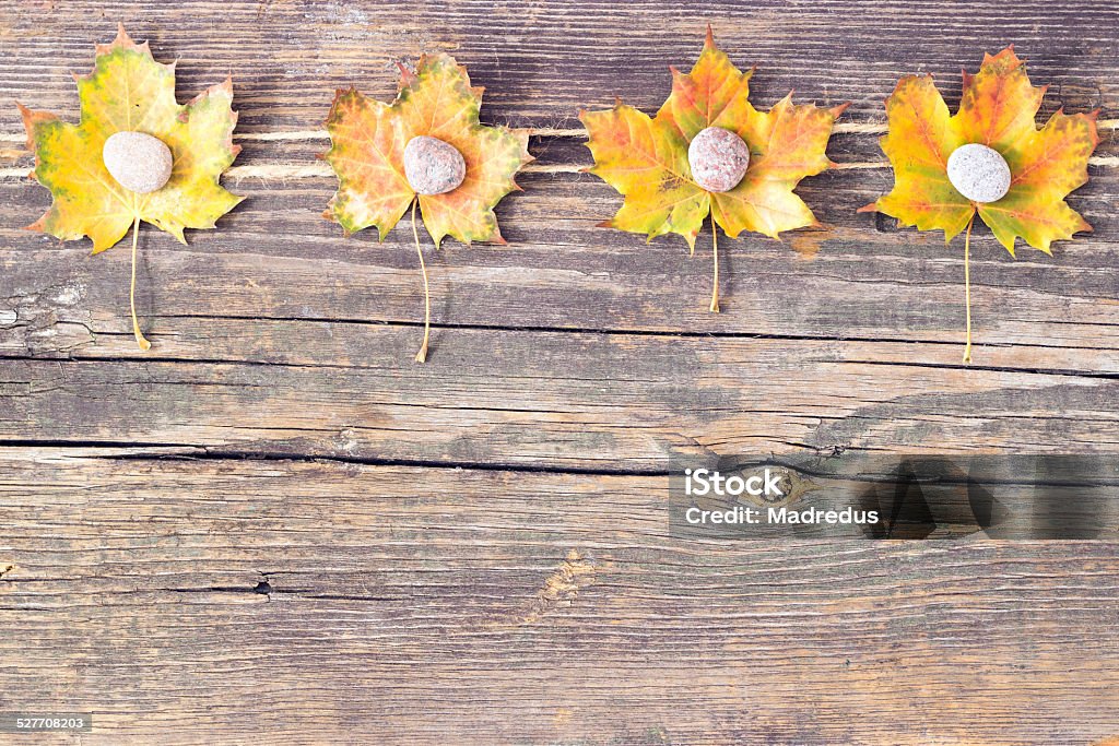 Colorful fall autumn leaves on wood background At The Edge Of Stock Photo