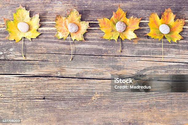 Colorful Fall Autumn Leaves On Wood Background Stock Photo - Download Image Now - At The Edge Of, Autumn, Backgrounds