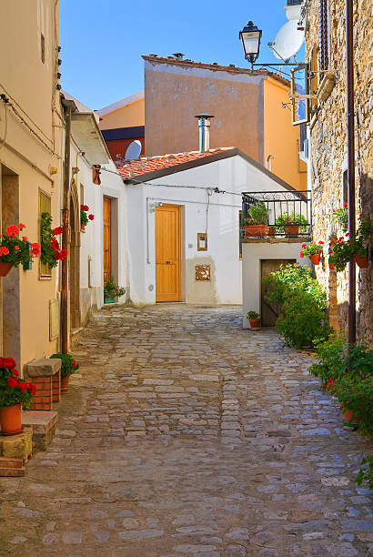 istock Alleyway. Cancellara. Basilicata. Italy. 527721417