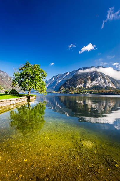 istock Alps autumn in Hallstatt 527721607