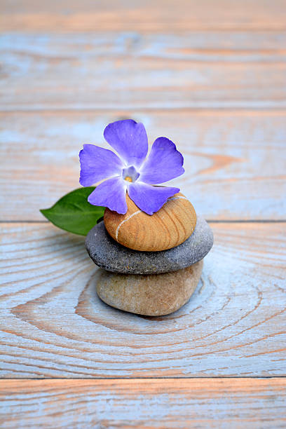 istock Three Zen stones with flower on used wood 527722449