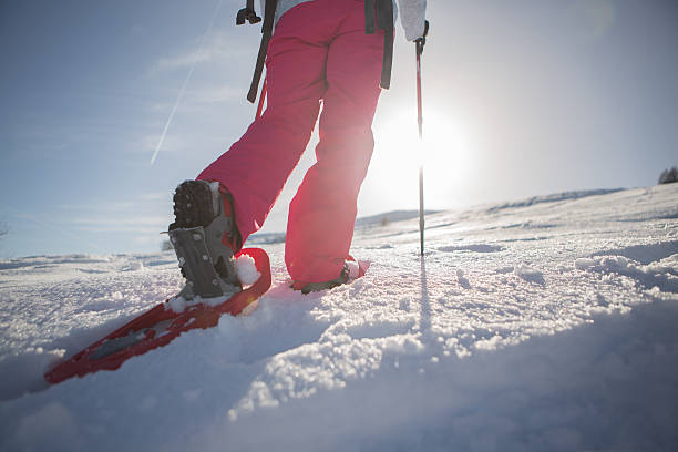 istock Winter sport-Snowshoeing 527722919