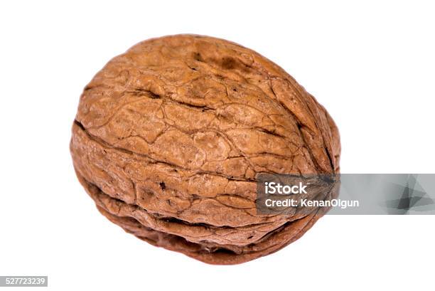 Walnut Stock Photo - Download Image Now - Close-up, Cut Out, Extreme Close-Up