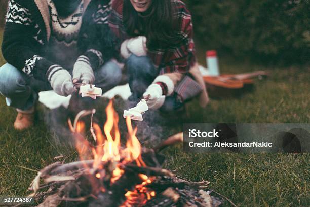 Roasting Marshmallows Stock Photo - Download Image Now - Winter, Campfire, Camping