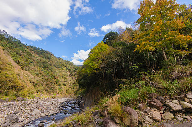 река имеются - waterfall stream river tennessee стоковые фото и изображения