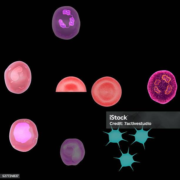 Blood Elements Stock Photo - Download Image Now - Anatomy, Anemia, Biomedical Illustration