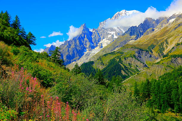 mont blanc acima de aosta grandes jorasses, val ferret, itália - courmayeur european alps mont blanc mountain - fotografias e filmes do acervo