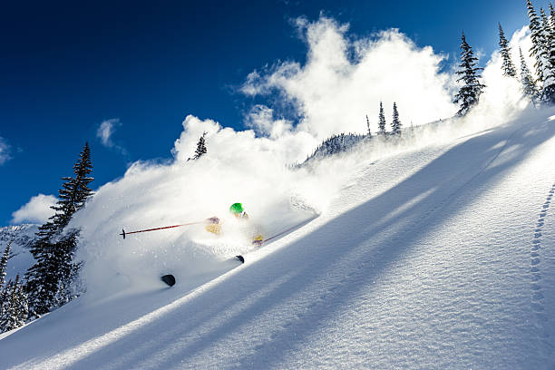 heli на лыжах - skiing british columbia sports helmet tree стоковые фото и изображения