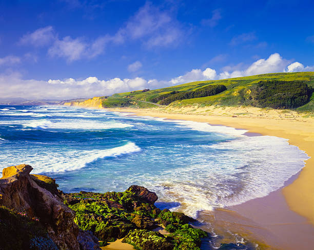 litoral pescadero state beach, carmel, oceano pacífico, ca (p) - route 1 pacific ocean beach cliff - fotografias e filmes do acervo