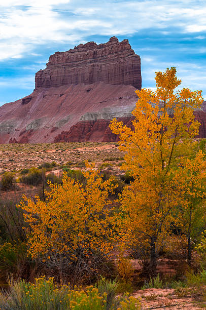 istock Wild Horse Butte Fall Colors and Beautiful Dramatic Sky Utah 527746607