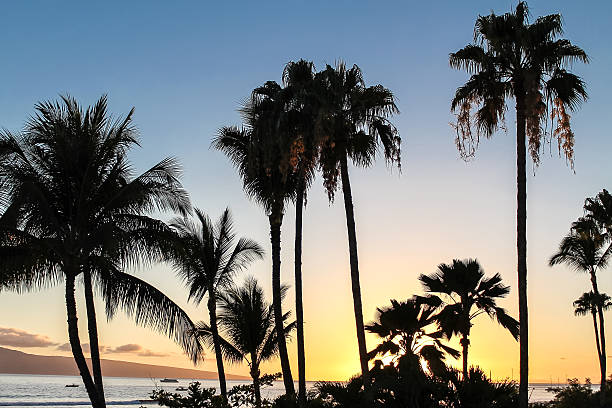 istock Maui sunset in Hawaii 527748483