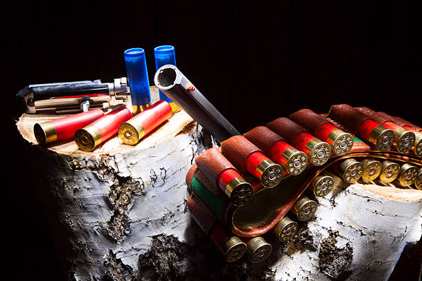 istock Gun with hunting cartridges 527758373