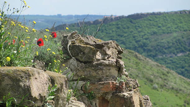 A lizard on an ancient stone wall over green hills in Georgia