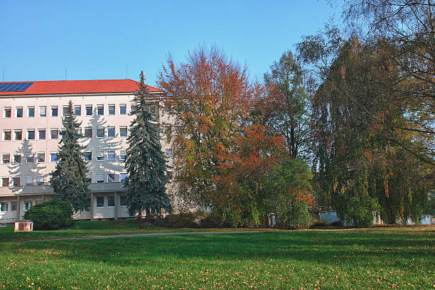 istock Hospital and autumn park, where patients can walking 527762063