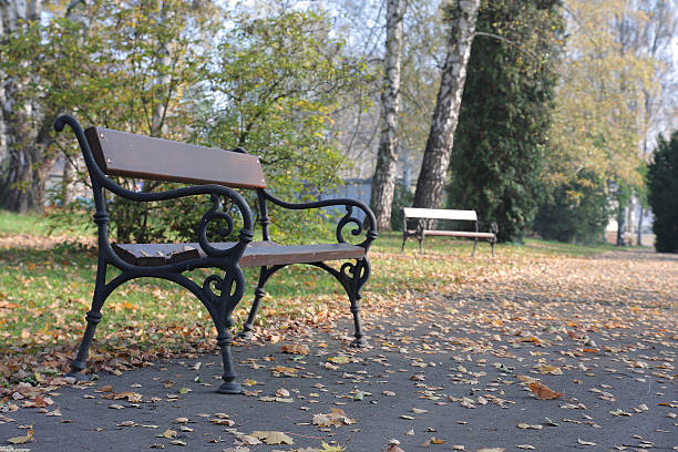 istock Bench in autumn park in last sunny day. 527762065