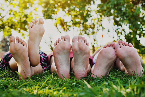 istock family picnic 527762841