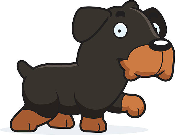 Cartoon Rottweiler Walking A cartoon illustration of a Rottweiler walking. dog pointing stock illustrations