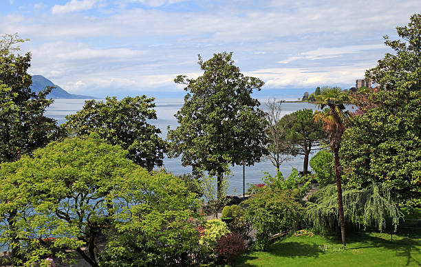 istock Geneva lake and trees, Montreux, Switzerland. 527780295