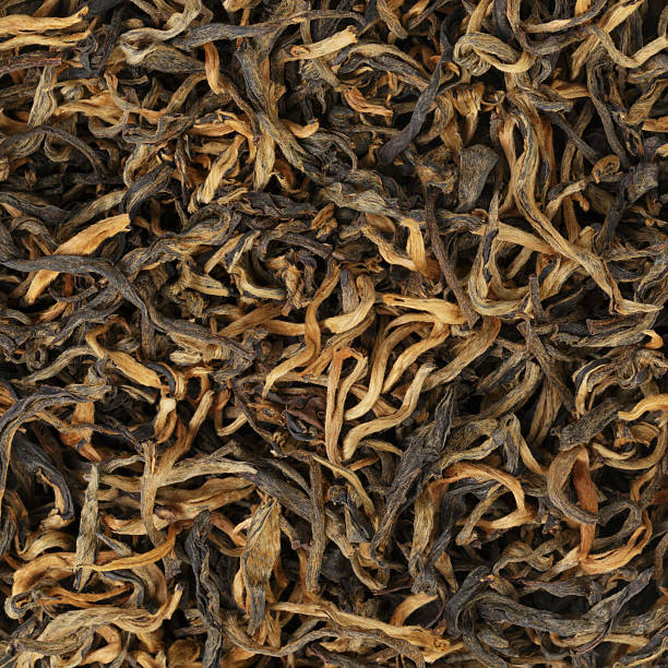 famous chinese dian hong yunnan tea