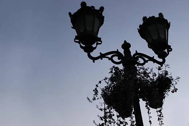 Street lantern on sunset with flowers bellow.