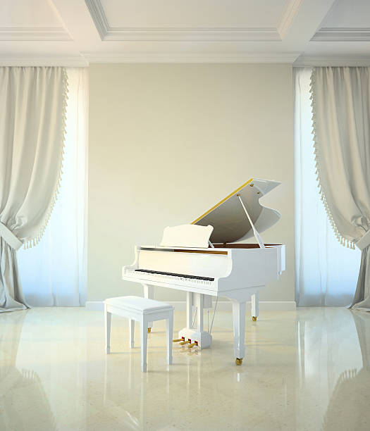 istock pino room in classic style 527793977