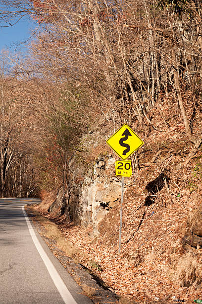 istock Winding road hazard traffic sign 527794569