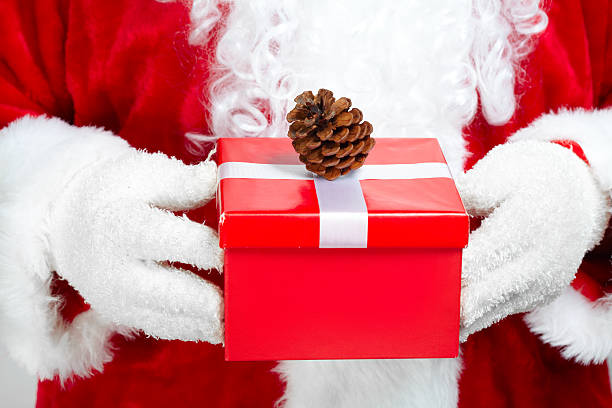istock Hands of Santa Claus with gift 527794661