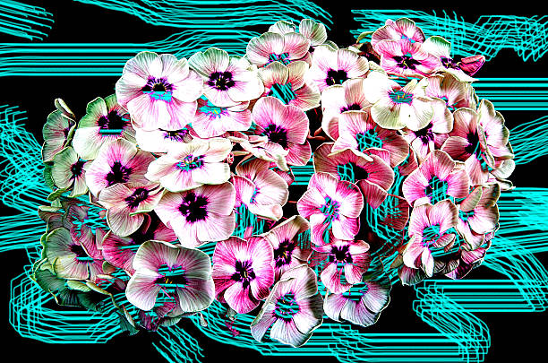istock Abstraction with Bouquet of white phlox 527796129