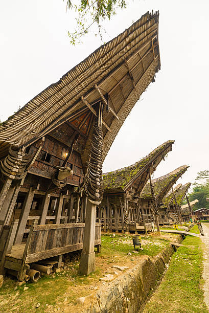 istock Exploring traditional village, Tana Toraja 527796945