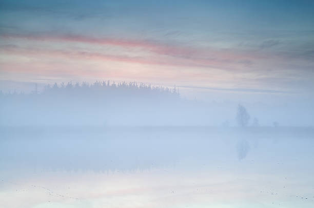 istock misty sunrise over lake 527796989