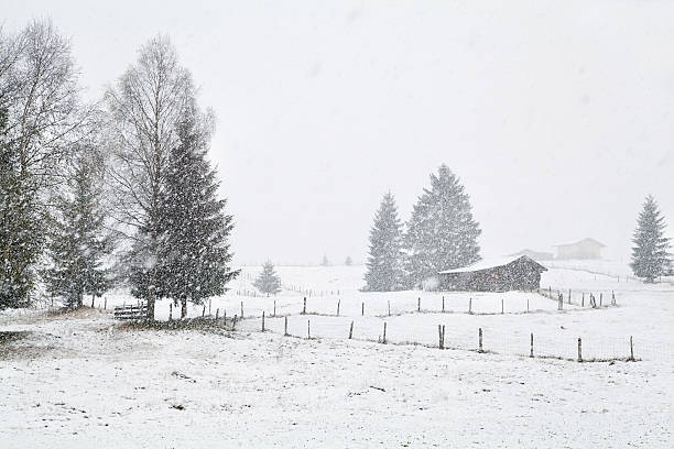 istock wooden hut on meadow at snowstorm 527798375