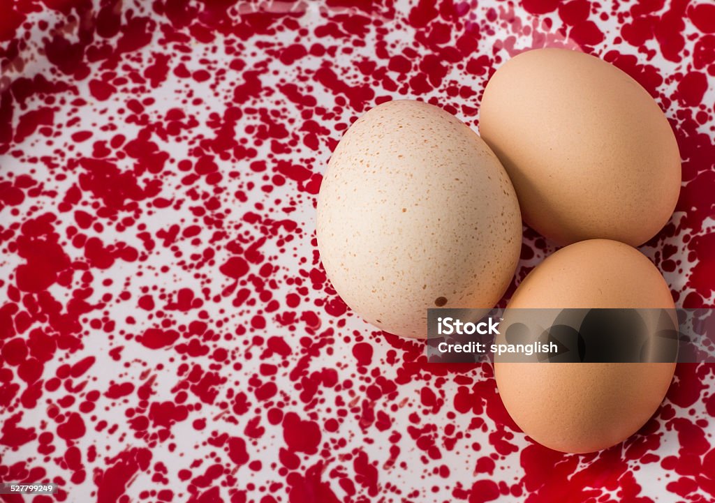 Turkey and Chicken Eggs A turkey egg (speckled) with two chicken eggs on an enameled dish. Animal Egg Stock Photo