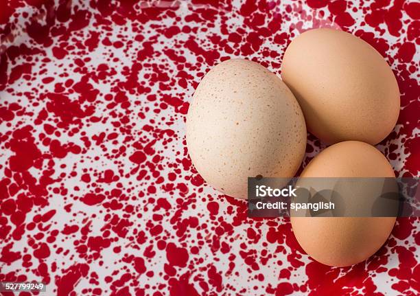 Turkey And Chicken Eggs Stock Photo - Download Image Now - Animal Egg, Animal Nest, Breakfast