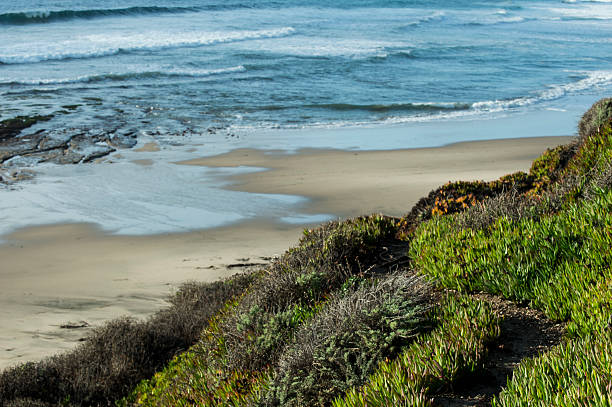 istock Cliffside Trail Leading to Rural California Beach 527799367