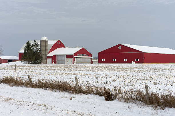 red barns sur journée d'hiver neigeux - wellington ontario photos et images de collection